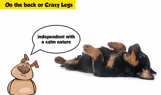 Dog on back demonstrating calm and independent personality traits