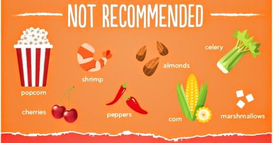 Foods to feed dogs with caution