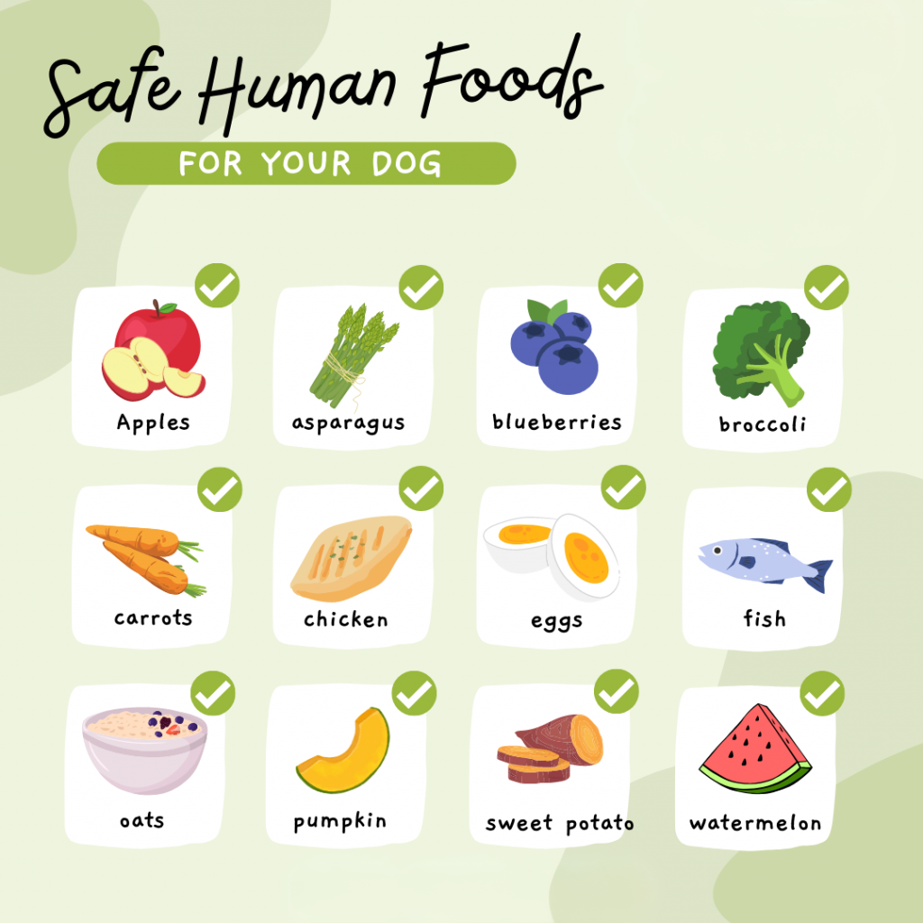 Safe human foods for dogs