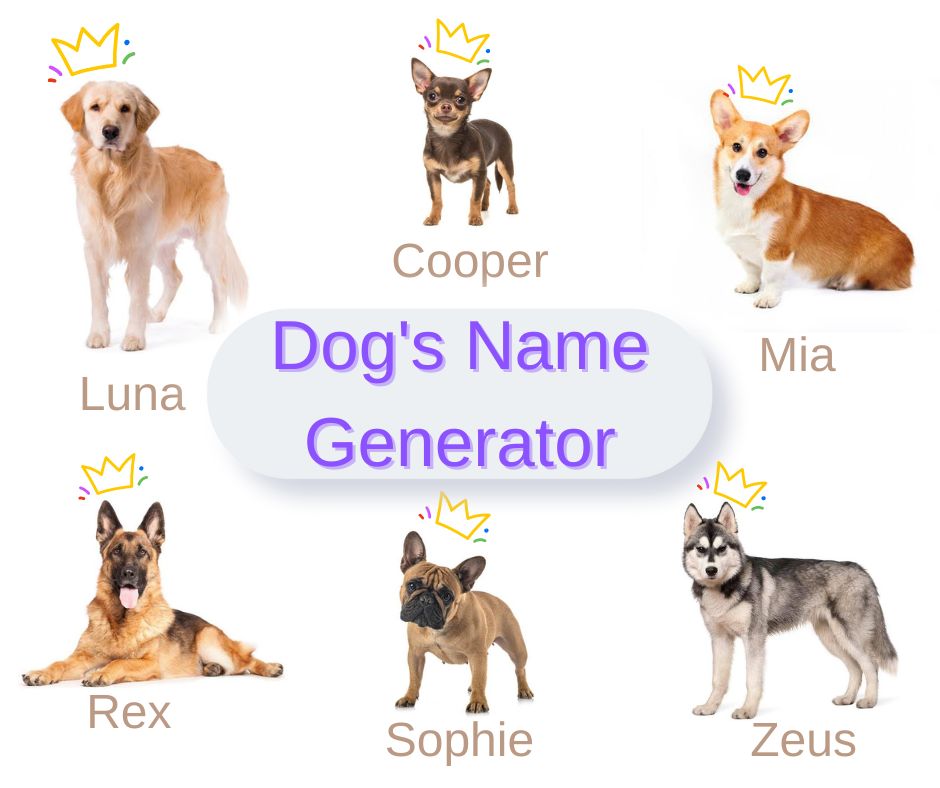 Dog Name Generator Tool