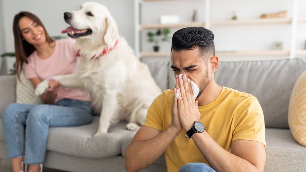 Complete Guide to Dog Allergies