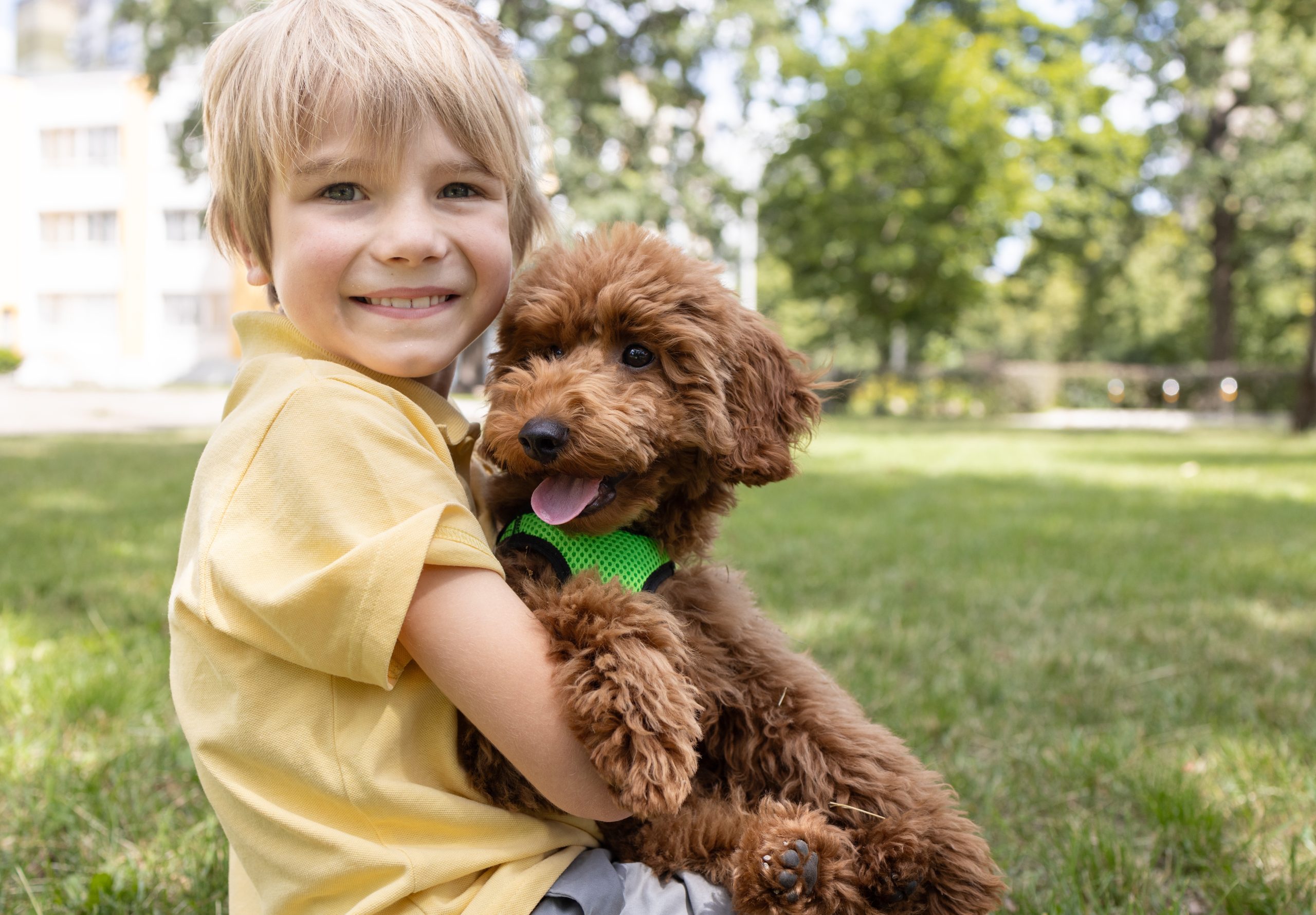 Poodle with children