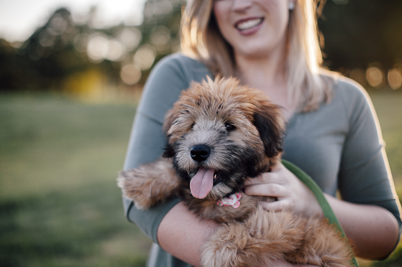 Wheaten Terrier with family